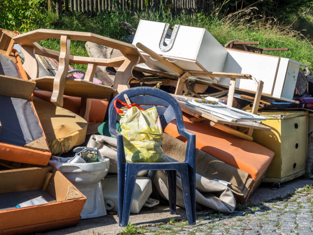 Best Electronics Removal Services  in Lincoln, ND