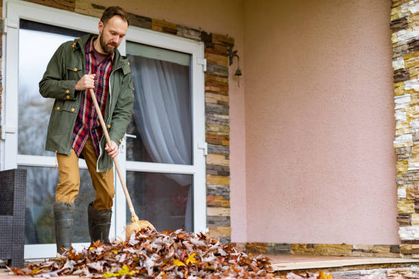 Best Electronics Removal Services  in Lincoln, ND